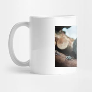 Tabby Cat Mug